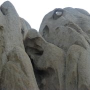 MonoBasin 206 : MonoBasin